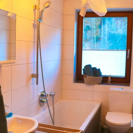 Waldfuchs * Kotschach-Mauthen