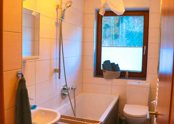 Waldfuchs * Kotschach-Mauthen